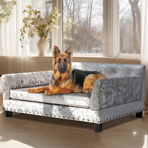 Stunning crushed velvet dog - velvet,